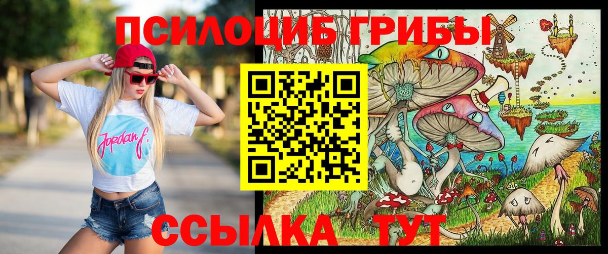 Галлюциногенные грибы прущие грибы Лабытнанги