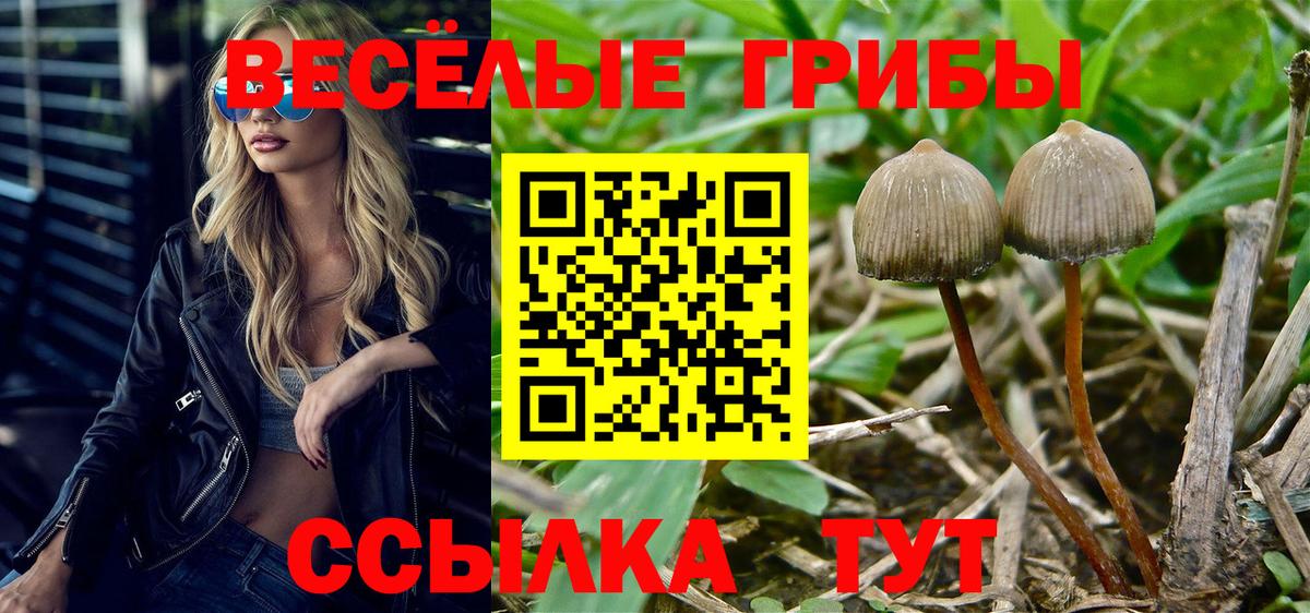 где найти наркотики  Галлюциногенные грибы мицелий  Вход с VPN  Лабытнанги  Псилоцибиновые грибы GOLDEN TEACHER 